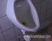 bdsm, piss, toilet, gimp, forced